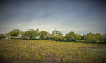 vente Proprit viticole Montpellier
