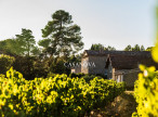 vente Proprit viticole Narbonne