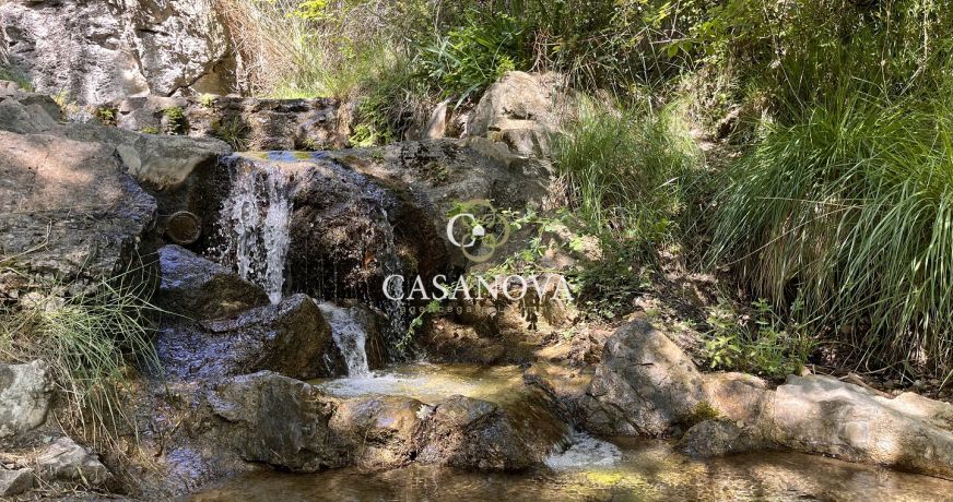 vente Bergerie Lodeve