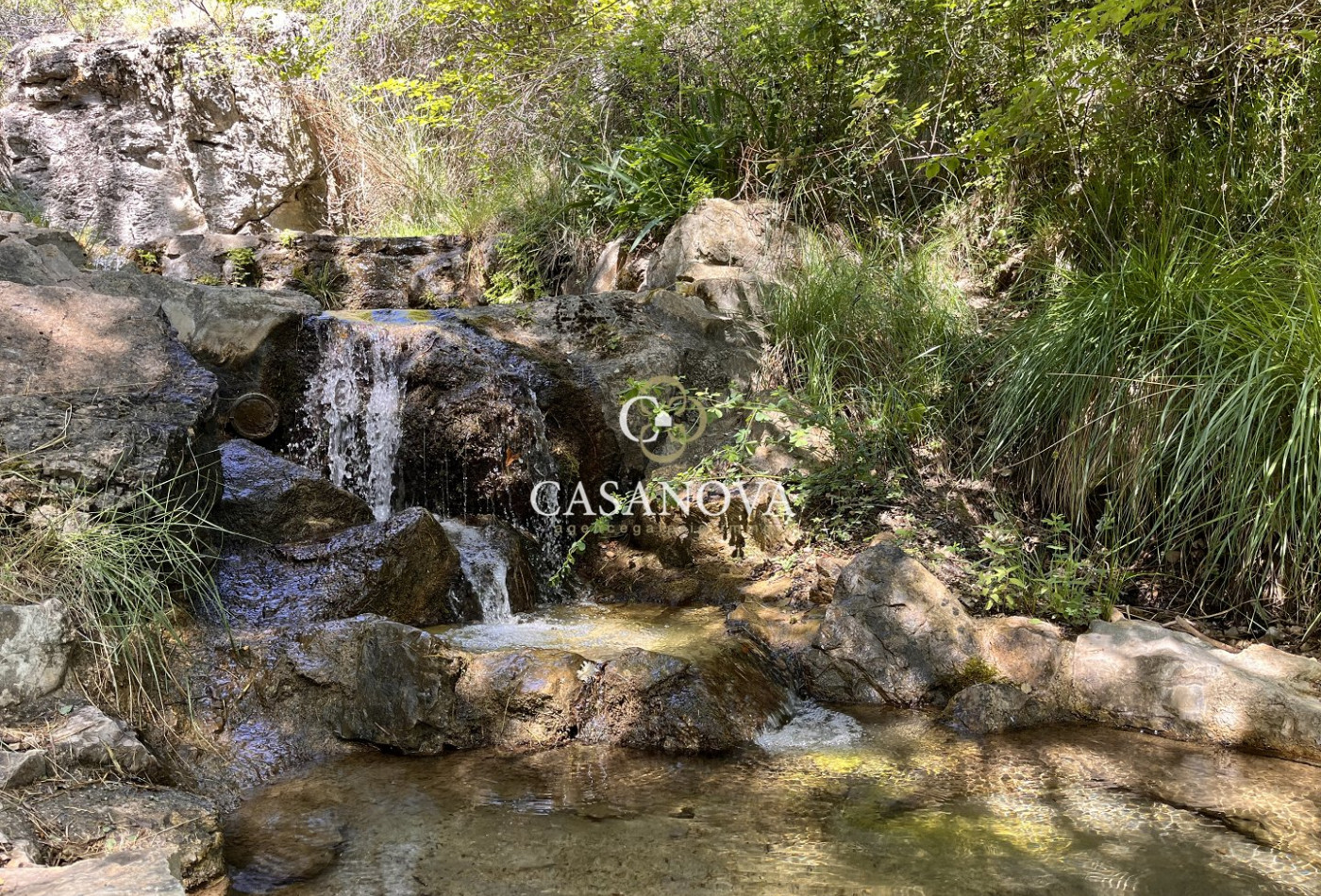 vente Bergerie Lodeve - Photo 13