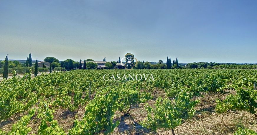 vente Propriété Pezenas