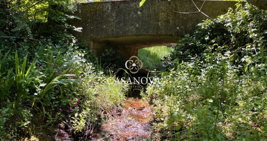 vente Maison vigneronne Clermont L'herault