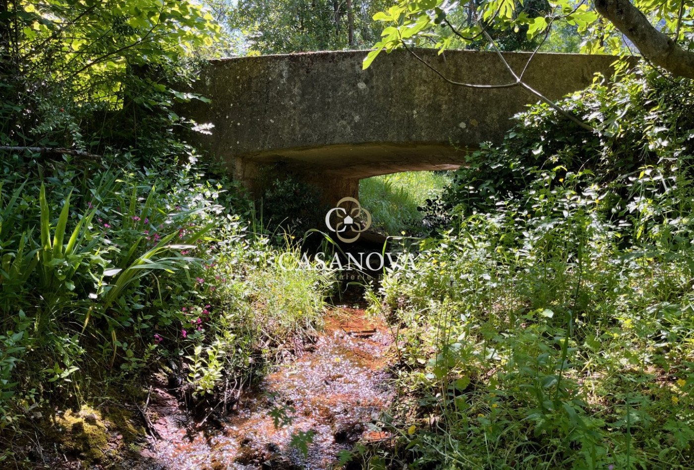 sale Maison vigneronne Clermont L'herault - Photo 14