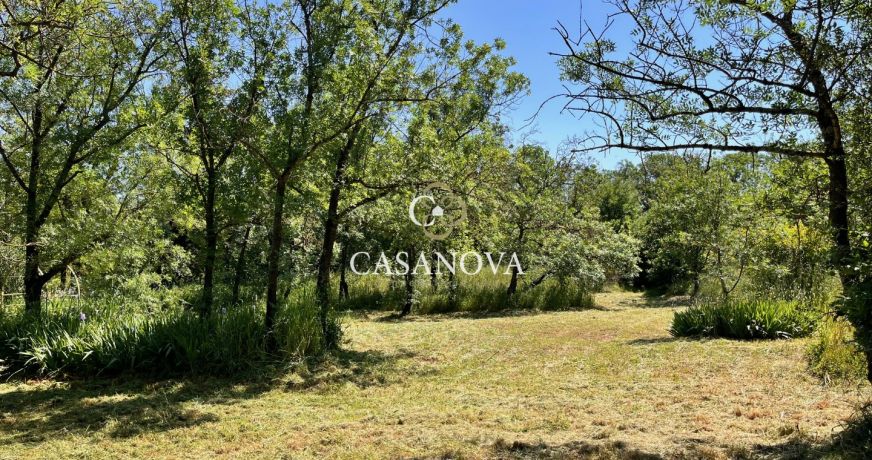 vente Maison vigneronne Clermont L'herault