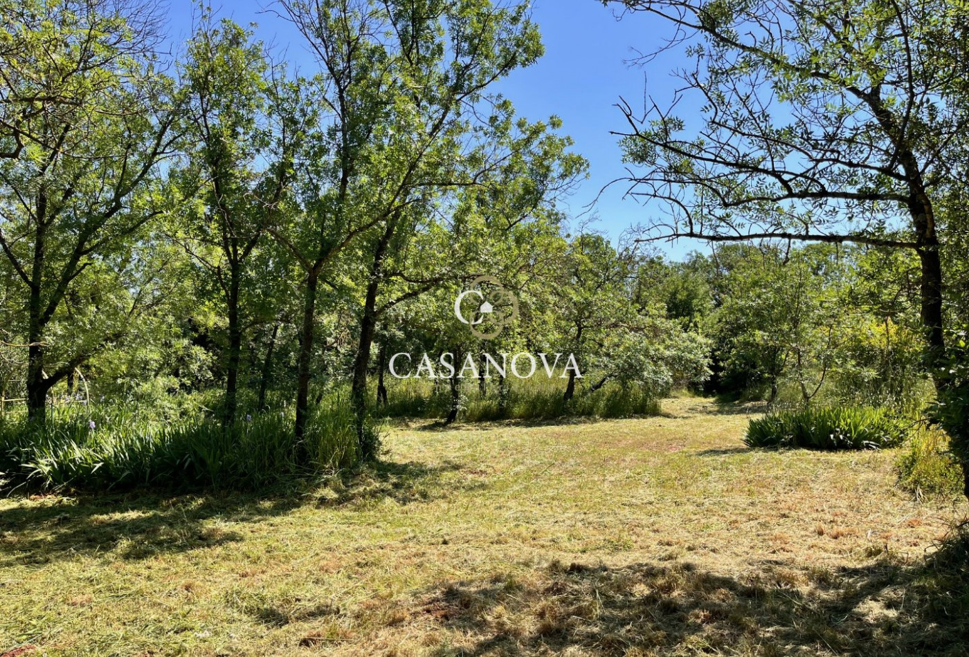 sale Maison vigneronne Clermont L'herault - Photo 6