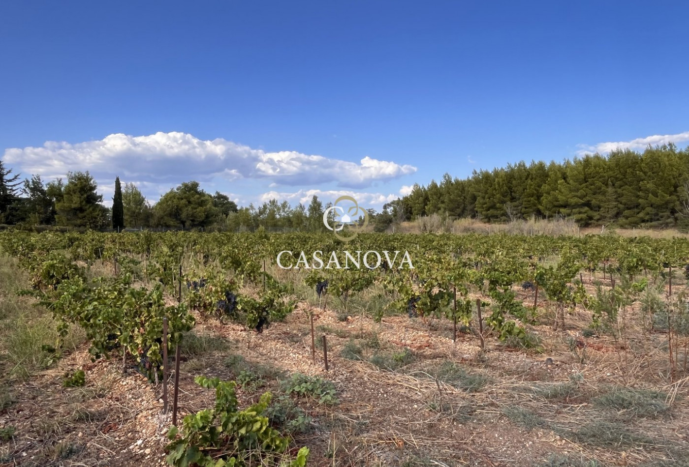 sale Maison Clermont L'herault - Photo 11