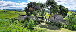 vente Mas Pezenas