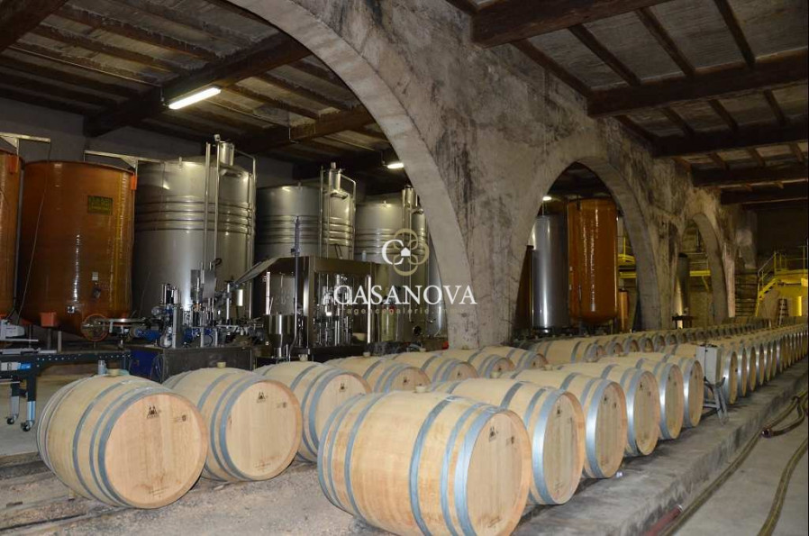 vente Propriété viticole Pezenas - Photo 8