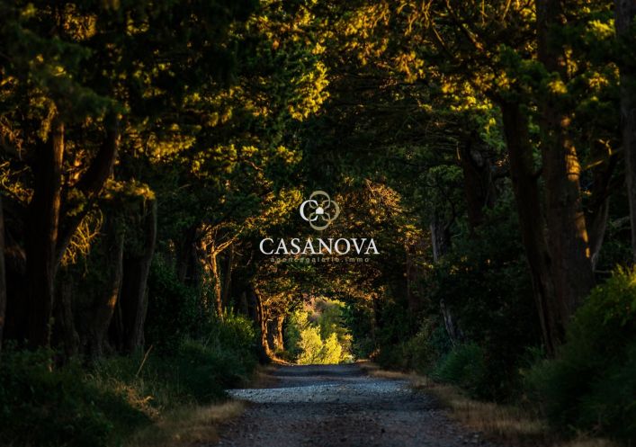 sale Propriété Narbonne