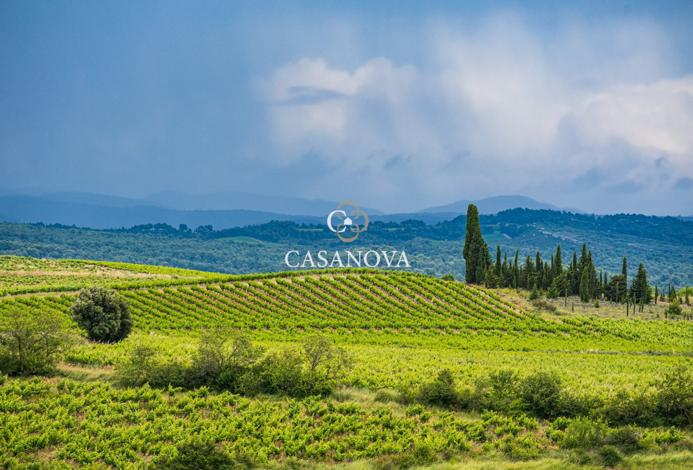 sale Propriété Narbonne - Photo 12