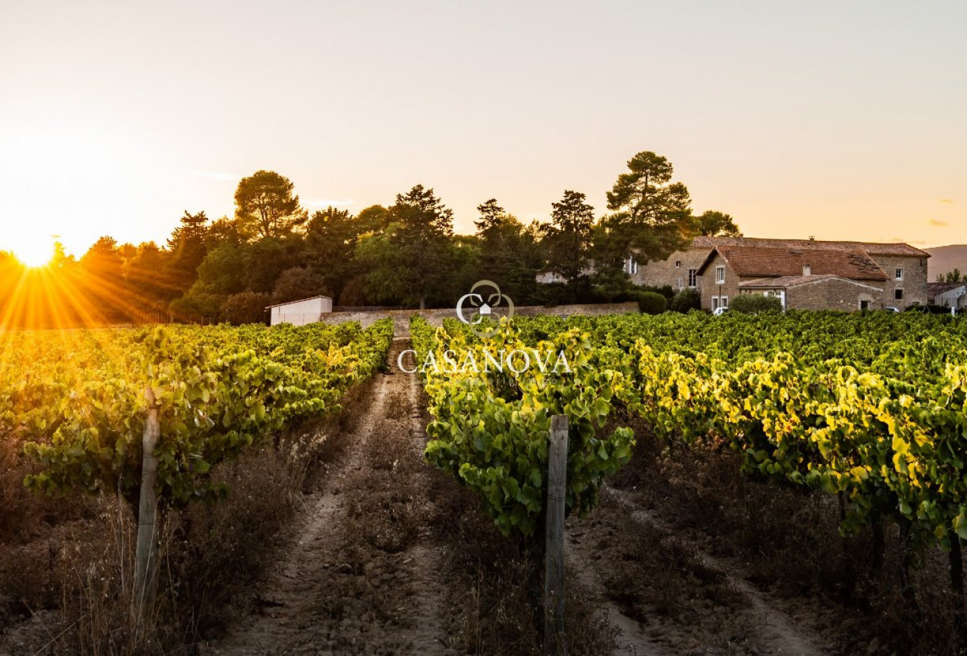 sale Propriété Narbonne - Photo 2