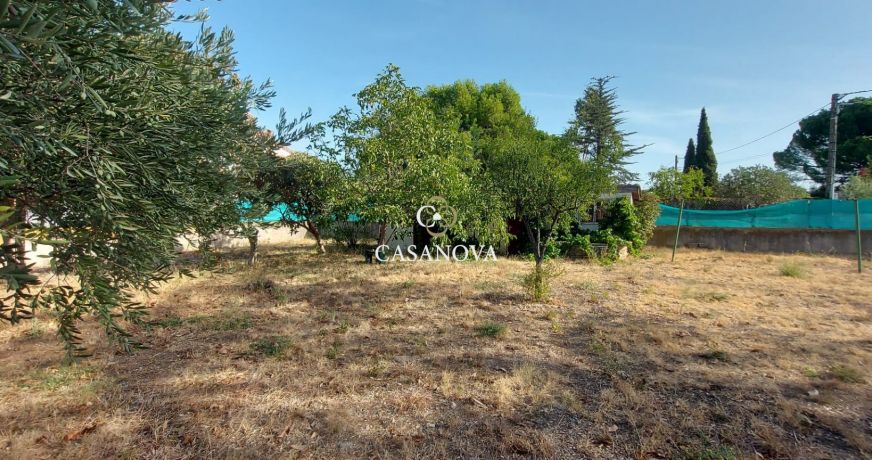 vente Terrain Paulhan