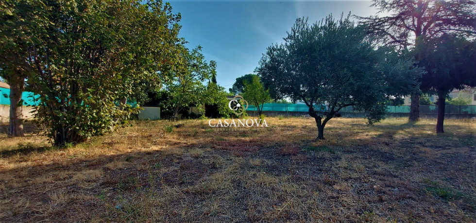 vente Terrain Paulhan - Photo 2