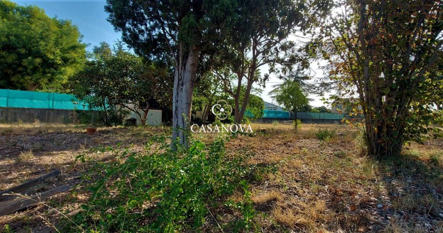 vente Terrain Paulhan