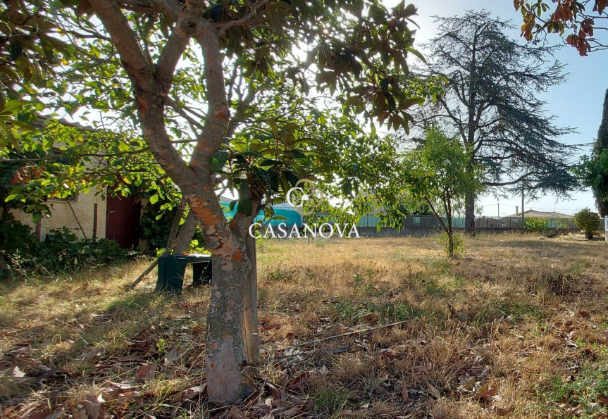 vente Terrain Paulhan - Photo 10