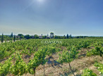 vente Mas Montpellier