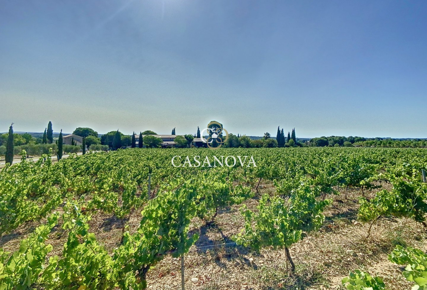 vente Mas Montpellier - Photo 1