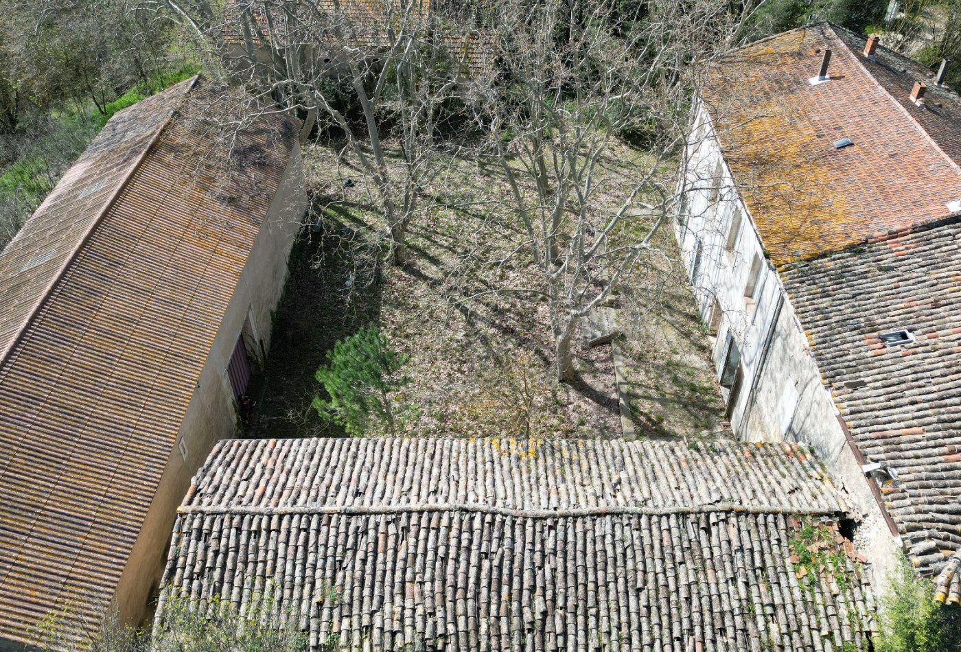 vente Domaine Saint Andre De Sangonis - Photo 8