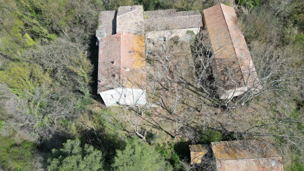 vente Domaine Saint Andre De Sangonis - Photo 7