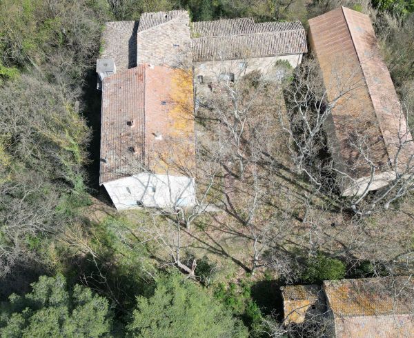 vente Saint Andre De Sangonis