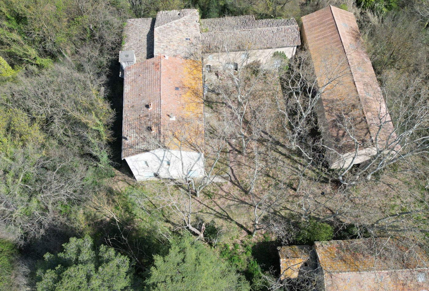 vente Domaine Saint Andre De Sangonis - Photo 7