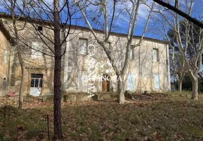 vente Domaine Saint Andre De Sangonis