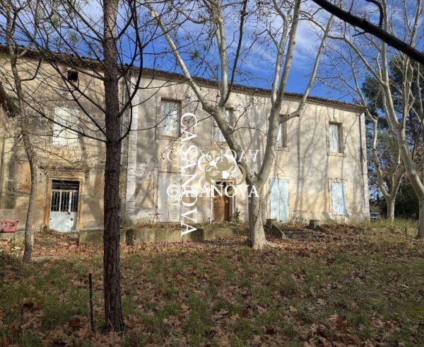 vente Saint Andre De Sangonis