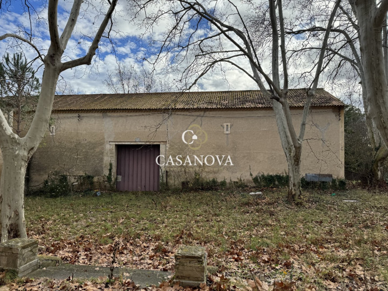 vente Domaine Saint Andre De Sangonis - Photo 4