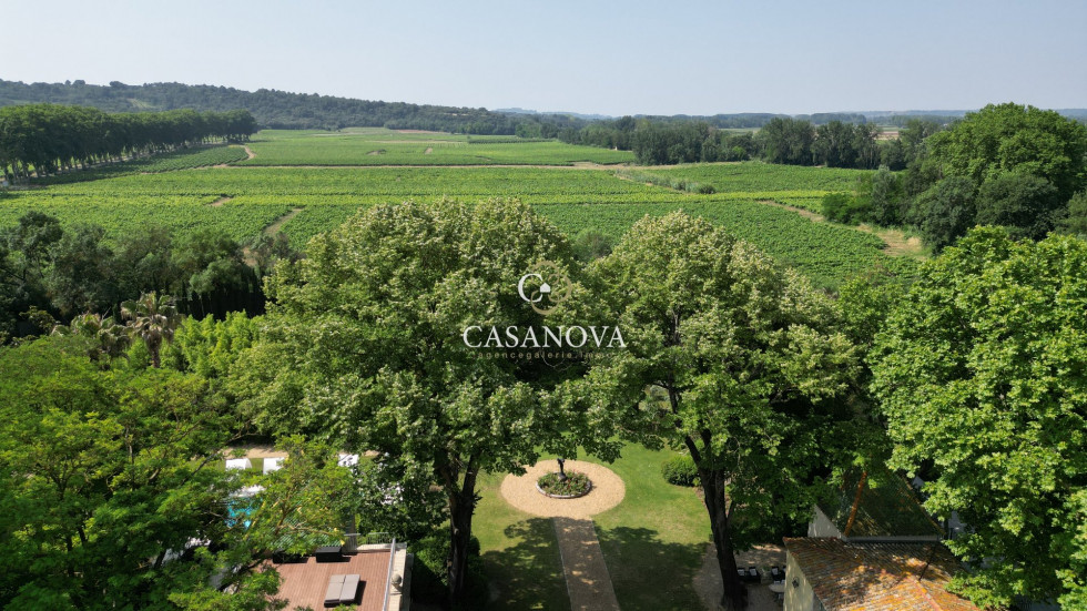 vente Propriété Montpellier - Photo 1