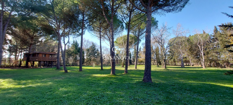 vente Maison de caractère Agde - Photo 7