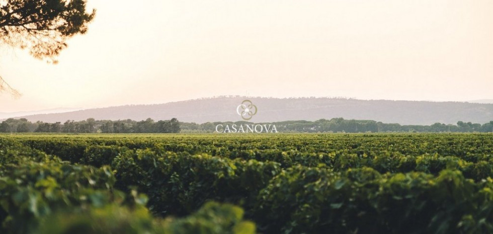 vente Propriété Beziers - Photo 2