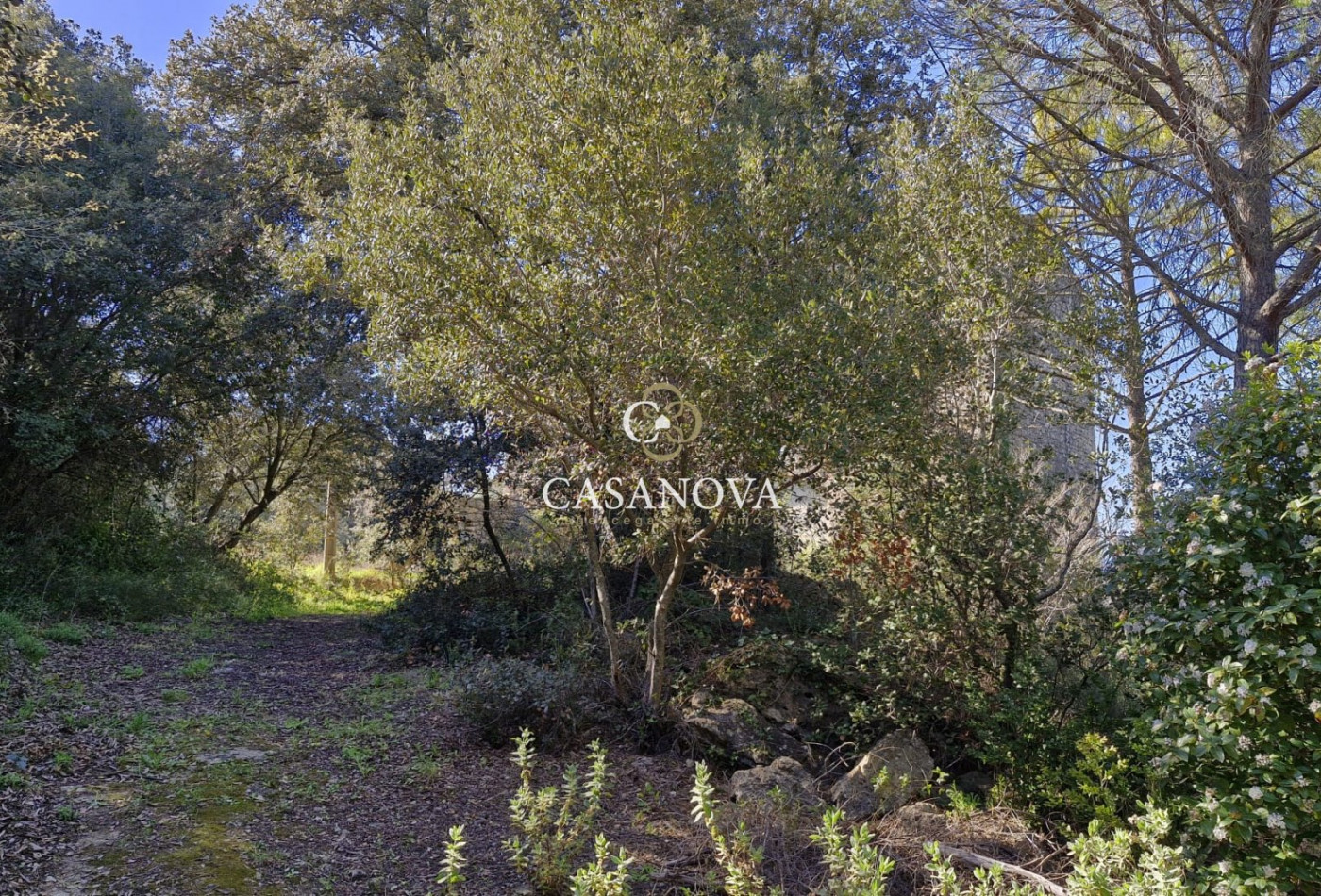 sale  Pezenas - Photo 13