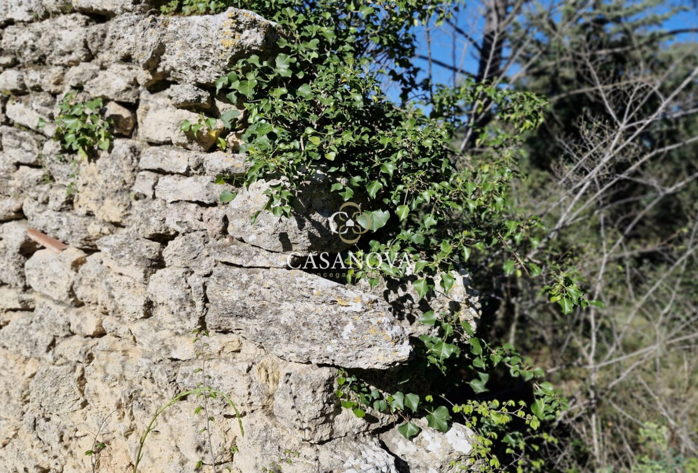 sale  Pezenas - Photo 7