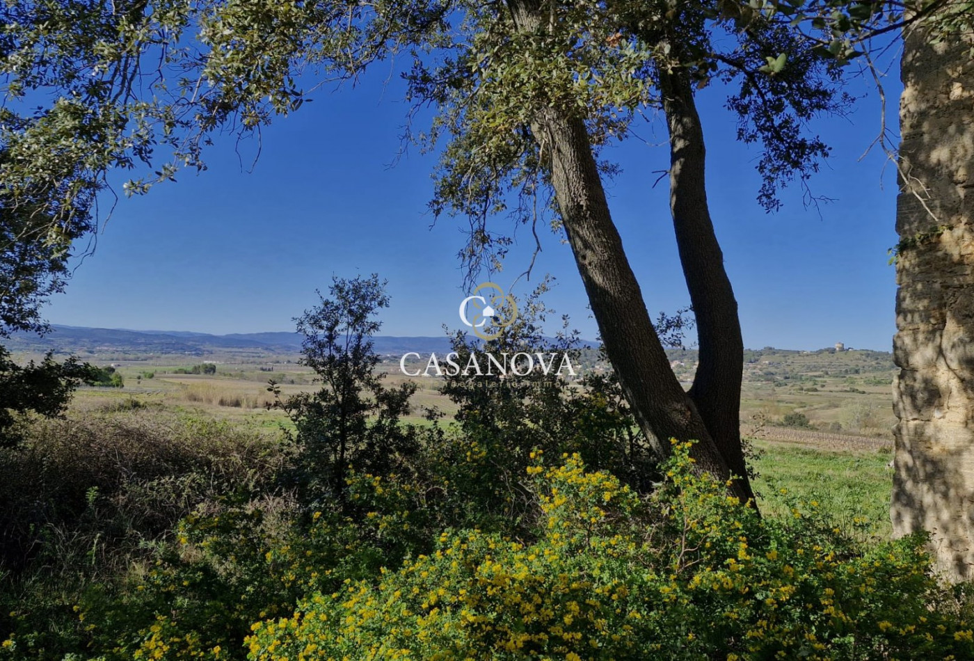 sale  Pezenas - Photo 8