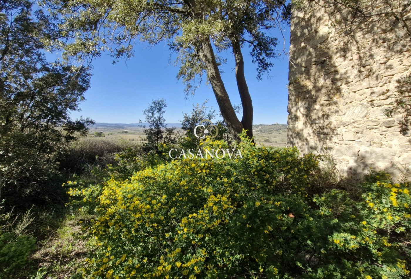 sale  Pezenas - Photo 9