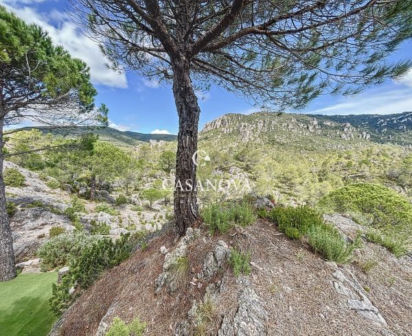 sale Clermont L'herault