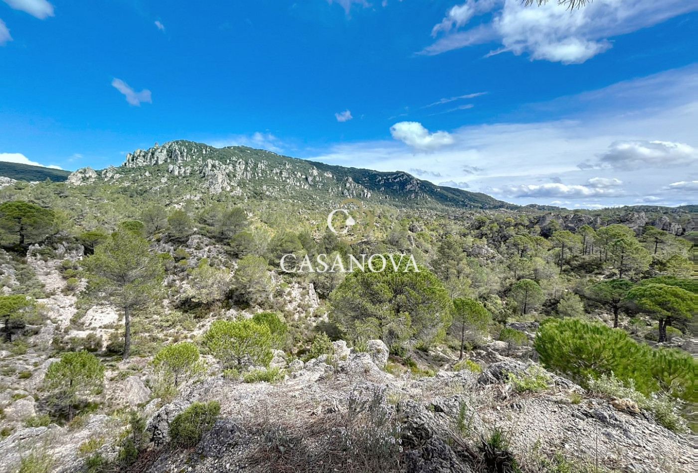 vente Villa Clermont L'herault - Photo 10