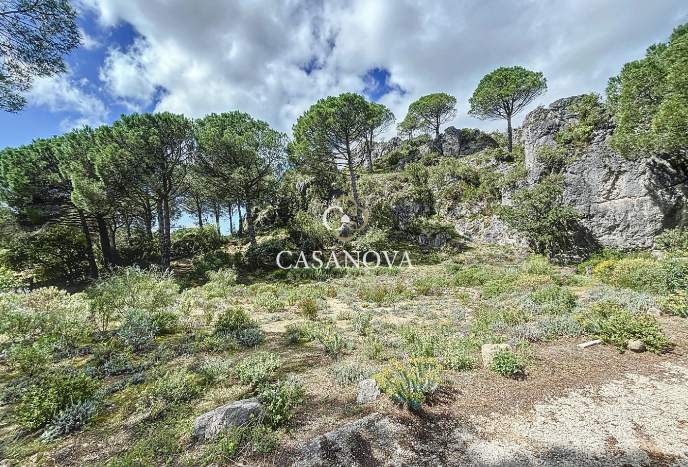 vente Villa Clermont L'herault - Photo 9