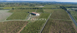 vente Propriété viticole Saint Andre De Sangonis