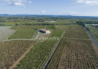 vente Propriété viticole Saint Andre De Sangonis