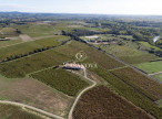 vente Propriété viticole Saint Andre De Sangonis