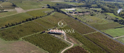 vente Propriété viticole Saint Andre De Sangonis