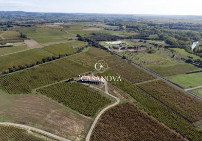 vente Propriété viticole Saint Andre De Sangonis