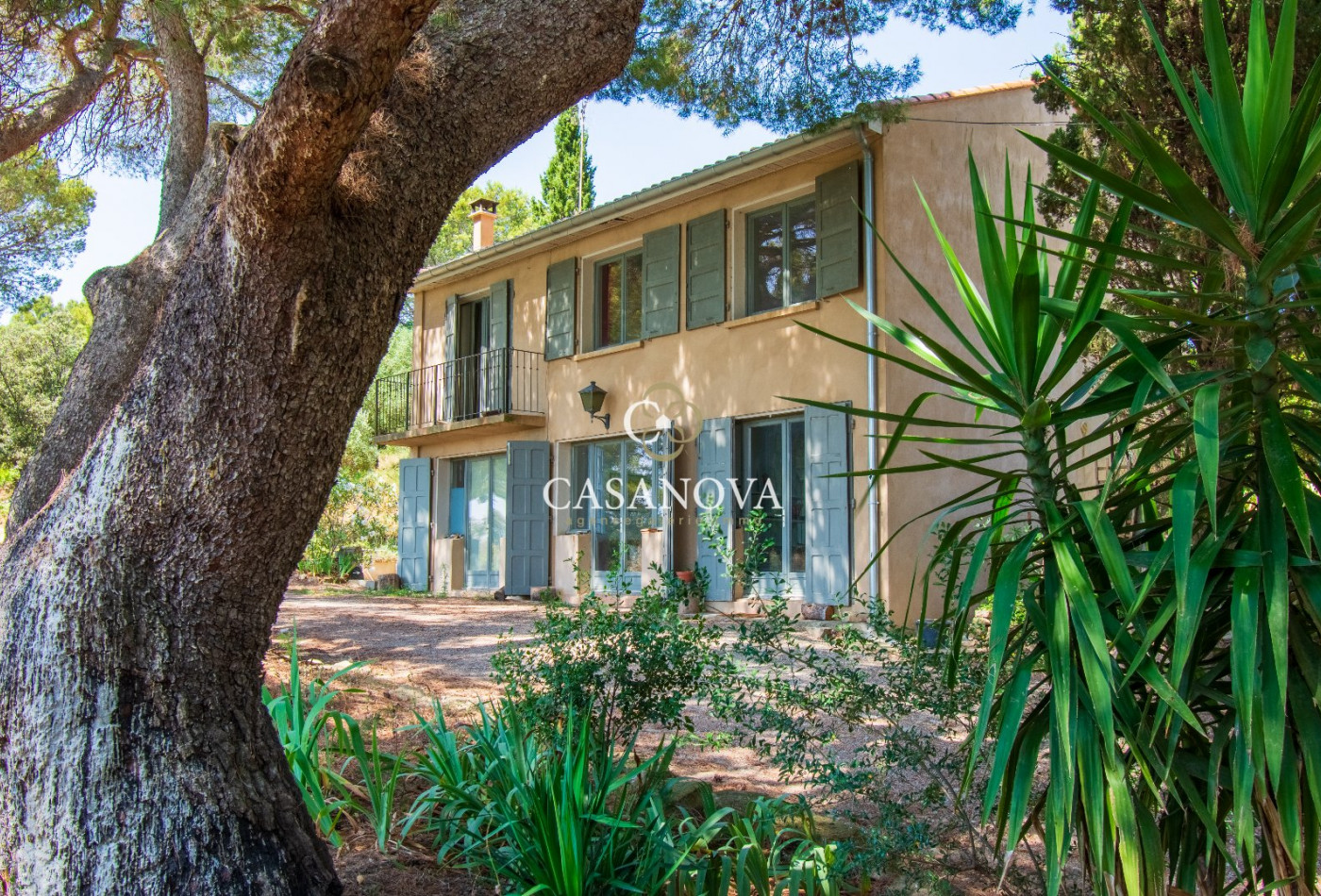 vente Domaine Pezenas - Photo 5