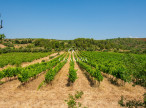 vente Domaine Pezenas