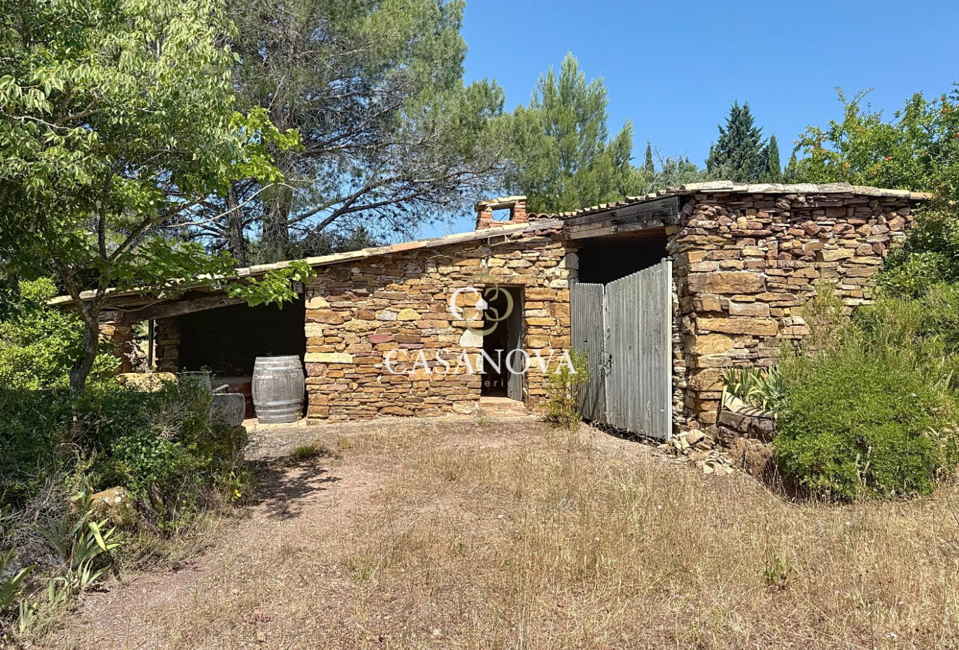 vente Domaine Pezenas - Photo 17