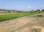 vente Terrain constructible Roujan