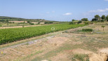 vente Terrain constructible Roujan