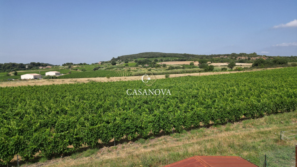 vente Terrain constructible Roujan - Photo 2