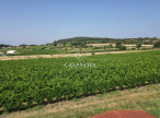 vente Terrain constructible Roujan